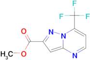 methyl 7-(trifluoromethyl)pyrazolo[1,5-a]pyrimidine-2-carboxylate