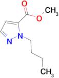 methyl 1-butyl-1H-pyrazole-5-carboxylate