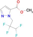 methyl 1-(2,2,3,3-tetrafluoropropyl)-1H-pyrazole-5-carboxylate