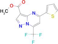 methyl 5-thien-2-yl-7-(trifluoromethyl)pyrazolo[1,5-a]pyrimidine-3-carboxylate