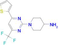 1-[4-(2-thienyl)-6-(trifluoromethyl)pyrimidin-2-yl]piperidin-4-amine