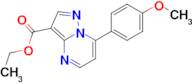 ethyl 7-(4-methoxyphenyl)pyrazolo[1,5-a]pyrimidine-3-carboxylate