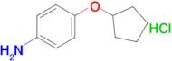 [4-(cyclopentyloxy)phenyl]amine