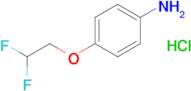 [4-(2,2-difluoroethoxy)phenyl]amine