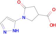 5-oxo-1-(1H-pyrazol-3-yl)pyrrolidine-3-carboxylic acid