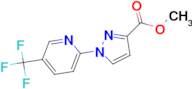 methyl 1-[5-(trifluoromethyl)pyridin-2-yl]-1H-pyrazole-3-carboxylate