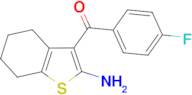 (2-amino-4,5,6,7-tetrahydro-1-benzothien-3-yl)(4-fluorophenyl)methanone