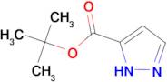 tert-butyl 1H-pyrazole-3-carboxylate