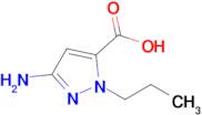 3-amino-1-propyl-1H-pyrazole-5-carboxylic acid