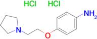 [4-(2-pyrrolidin-1-ylethoxy)phenyl]amine