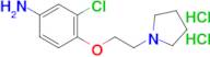 [3-chloro-4-(2-pyrrolidin-1-ylethoxy)phenyl]amine