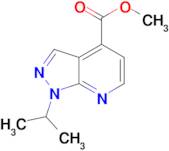 methyl 1-isopropyl-1H-pyrazolo[3,4-b]pyridine-4-carboxylate