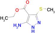 ethyl 5-amino-3-(methylthio)-1H-pyrazole-4-carboxylate