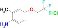 2-methyl-4-(2,2,2-trifluoroethoxy)aniline