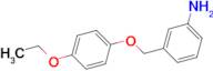 3-[(4-ethoxyphenoxy)methyl]aniline