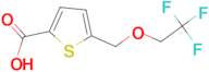 5-[(2,2,2-trifluoroethoxy)methyl]thiophene-2-carboxylic acid