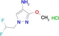 1-(2,2-difluoroethyl)-3-methoxy-1H-pyrazol-4-amine hydrochloride