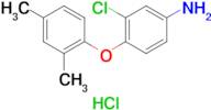 3-chloro-4-(2,4-dimethylphenoxy)aniline