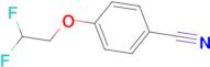 4-(2,2-difluoroethoxy)benzonitrile