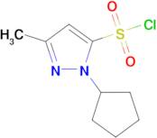 1-cyclopentyl-3-methyl-1H-pyrazole-5-sulfonyl chloride