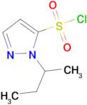 1-sec-butyl-1H-pyrazole-5-sulfonyl chloride