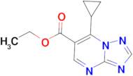 ethyl 7-cyclopropyl[1,2,4]triazolo[1,5-a]pyrimidine-6-carboxylate