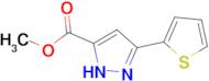 methyl 3-thien-2-yl-1H-pyrazole-5-carboxylate