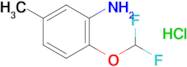 2-(difluoromethoxy)-5-methylaniline