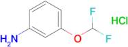 3-(difluoromethoxy)aniline