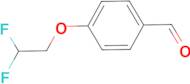 4-(2,2-difluoroethoxy)benzaldehyde