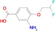 3-amino-4-(2,2-difluoroethoxy)benzoic acid