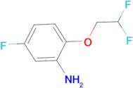 2-(2,2-Difluoroethoxy)-5-fluoroaniline