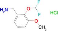 1-[2-(difluoromethoxy)-3-methoxyphenyl]methanamine hydrochloride