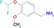 1-[4-(difluoromethoxy)-3-methoxyphenyl]methanamine