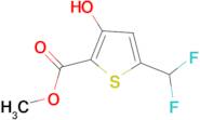 methyl 5-(difluoromethyl)-3-hydroxythiophene-2-carboxylate