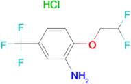 2-(2,2-difluoroethoxy)-5-(trifluoromethyl)aniline