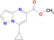 methyl 7-cyclopropylpyrazolo[1,5-a]pyrimidine-5-carboxylate