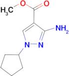 methyl 3-amino-1-cyclopentyl-1H-pyrazole-4-carboxylate