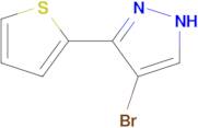 4-bromo-5-(2-thienyl)-1H-pyrazole