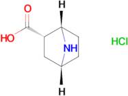 rac-(1S,2S,4R)-7-azabicyclo[2.2.1]heptane-2-carboxylic acid hydrochloride