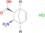 rac-(1R,2S,3R,4S)-3-aminobicyclo[2.2.1]hept-5-ene-2-carboxylic acid hydrochloride