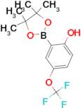 2-(4,4,5,5-tetramethyl-1,3,2-dioxaborolan-2-yl)-4-(trifluoromethoxy)phenol