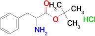tert-Butyl 2-amino-3-phenylpropanoate hydrochloride