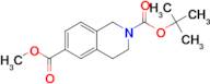 2-tert-Butyl 6-methyl 3,4-dihydroisoquinoline-2,6(1H)-dicarboxylate