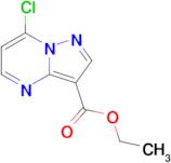 Ethyl 7-chloropyrazolo[1,5-a]pyrimidine-3-carboxylate