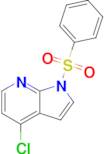 4-Chloro-1-(phenylsulfonyl)-1H-pyrrolo[2,3-b]pyridine