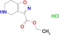 Ethyl 4,5,6,7-tetrahydroisoxazolo[4,5-c]pyridine-3-carboxylate hydrochloride