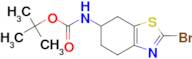 Tert-Butyl (2-bromo-4,5,6,7-tetrahydrobenzo[d]thiazol-6-yl)carbamate