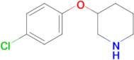 3-(4-Chlorophenoxy)piperidine