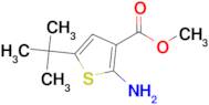 Methyl 2-amino-5-tert-butylthiophene-3-carboxylate